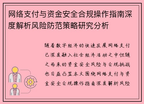 网络支付与资金安全合规操作指南深度解析风险防范策略研究分析